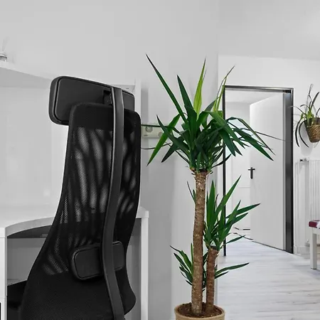 Gemuetliches Apartment In Koeln - Smarttv - Kueche Esterno foto